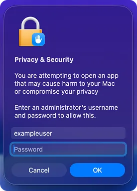 Screenshot of password prompt
